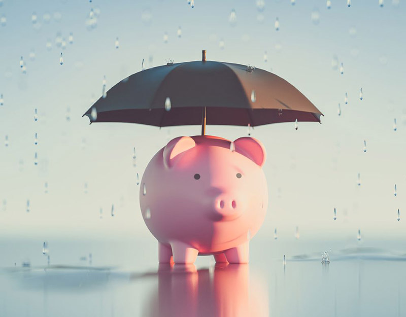 Pink piggy bank under an umbrella on a rainy day