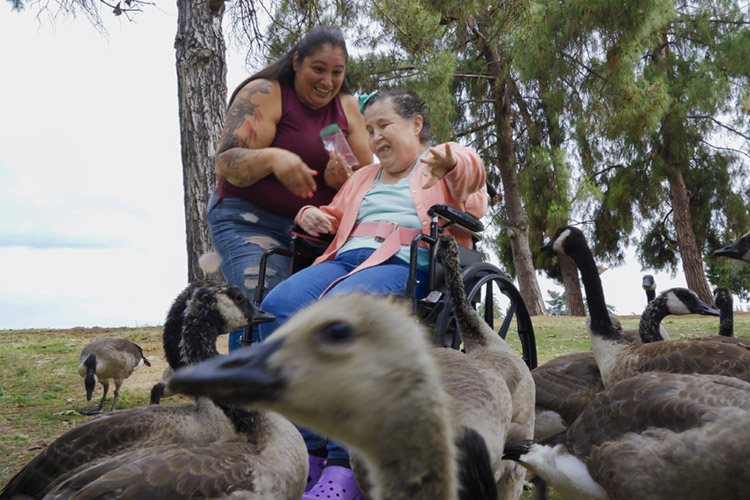 Dena and Gena in the park feeding ducks