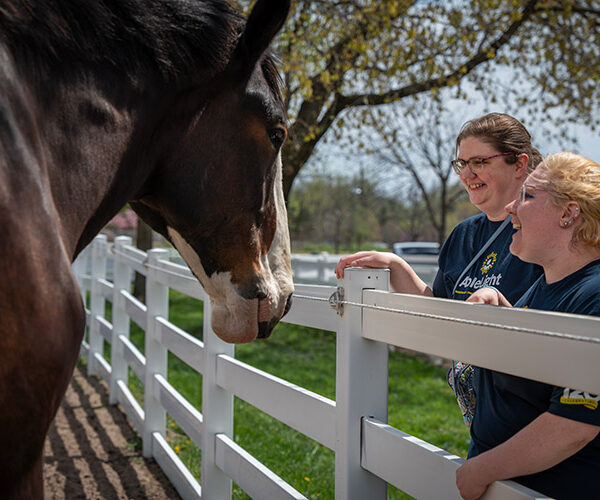 An AbleLight Team Member and person with a developmental disability looking at a horse