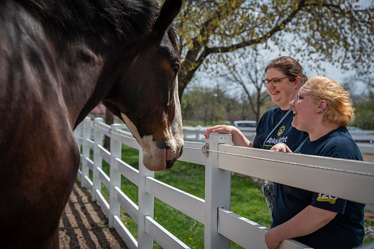 An AbleLight Team Member and person with a developmental disability looking at a horse