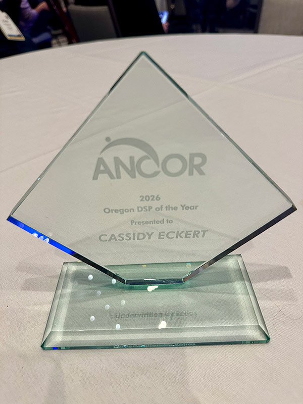 AbleLight's presence at the ANCOR Connect awards presentation - 7